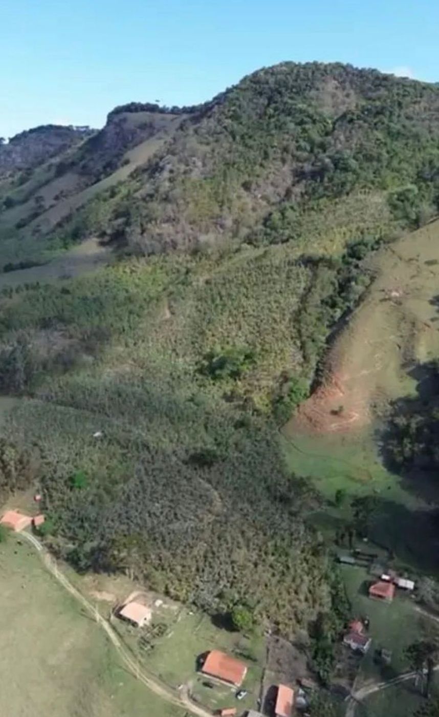 Nascentes e vegetação da área